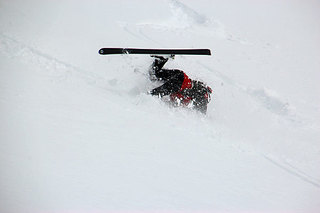 IMG_3865.jpg