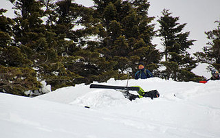 IMG_3901.jpg