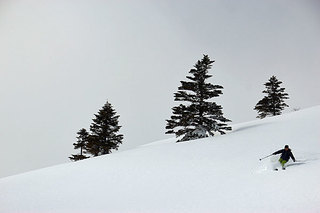 IMG_4056.jpg